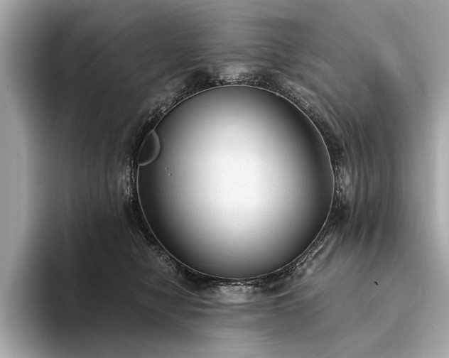 X0000094320470200711021355
