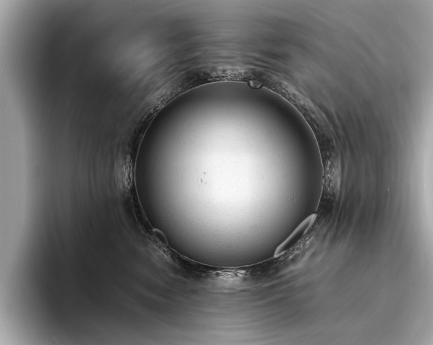 X0000094320474200711021355