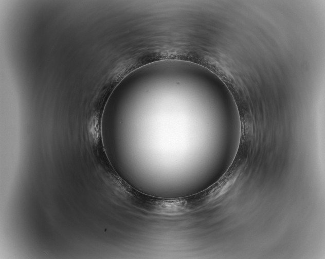 X0000094320479200711021355