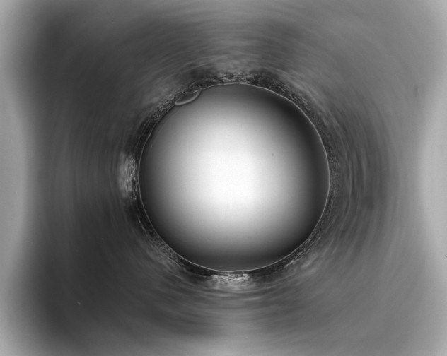 X0000094320480200711021355