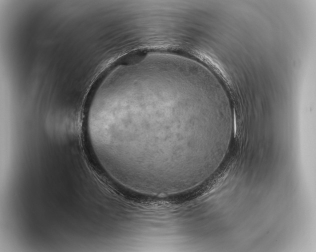 X0000094320483200711021354