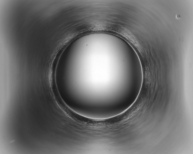 X0000094320485200711021354