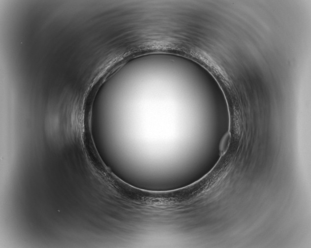 X0000094320486200711021354