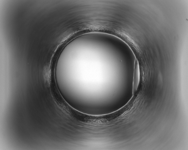 X0000094320488200711021354