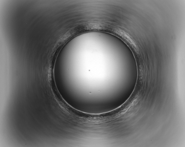 X0000094320489200711021354
