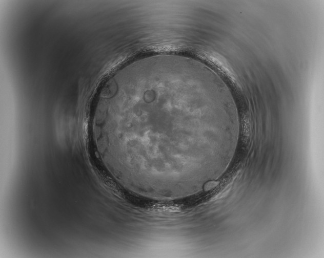 X0000094320491200711021354