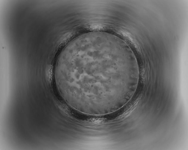 X0000094320495200711021354