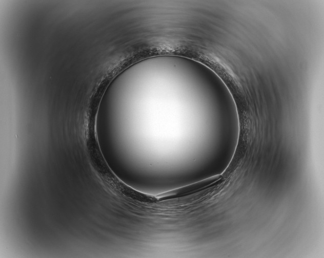 X0000094320496200711021354