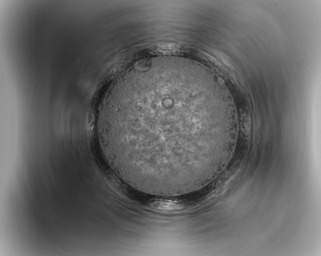 X0000094320507200711021354