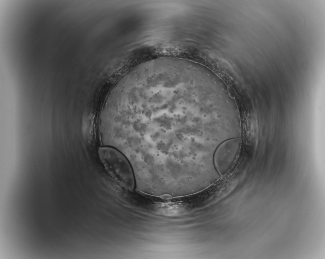 X0000094320511200711021354