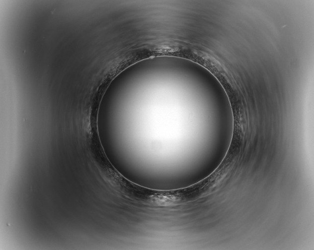 X0000094320512200711021354