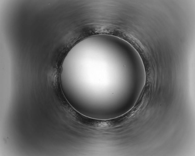 X0000094320513200711021354