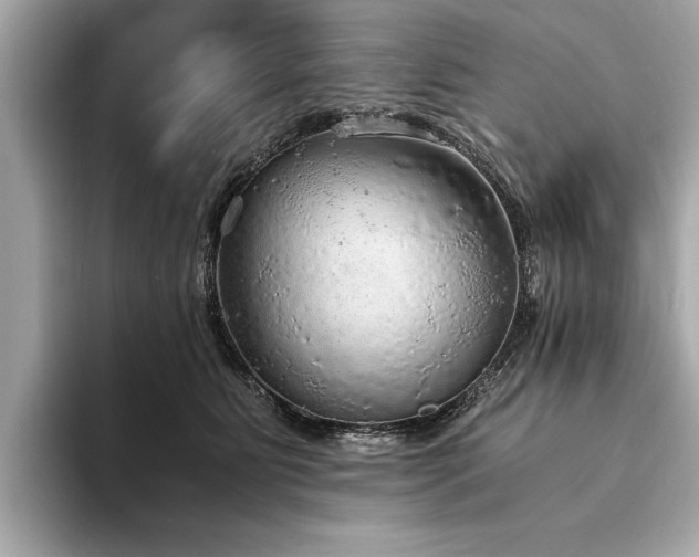 X0000094320515200711021354