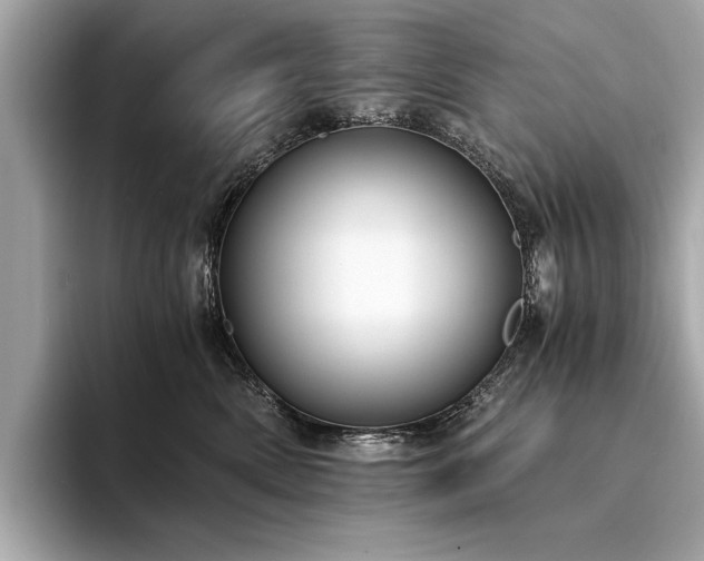 X0000094320522200711021354