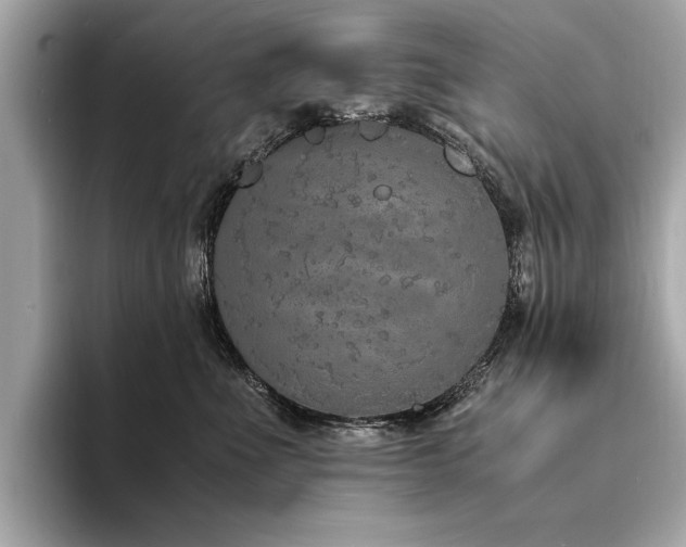 X0000094320523200711021354