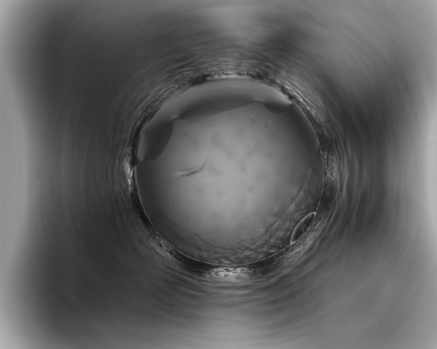 X0000094320526200711021354