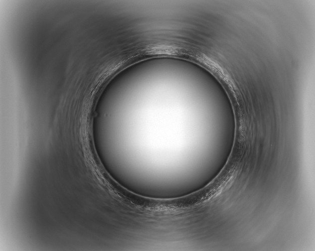 X0000094320529200711021353
