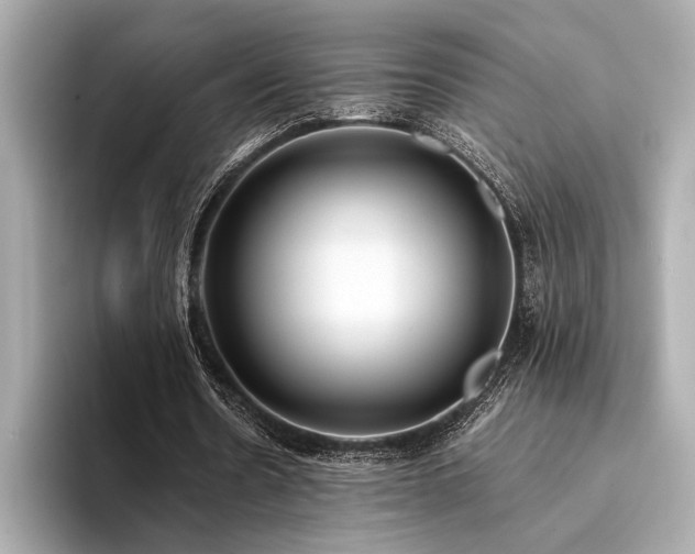 X0000094320530200711021353