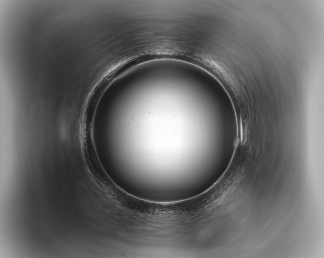 X0000094320531200711021353