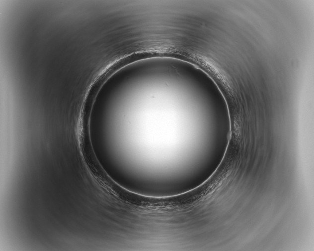 X0000094320532200711021353