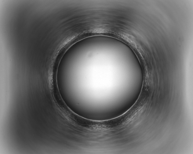 X0000094320535200711021353