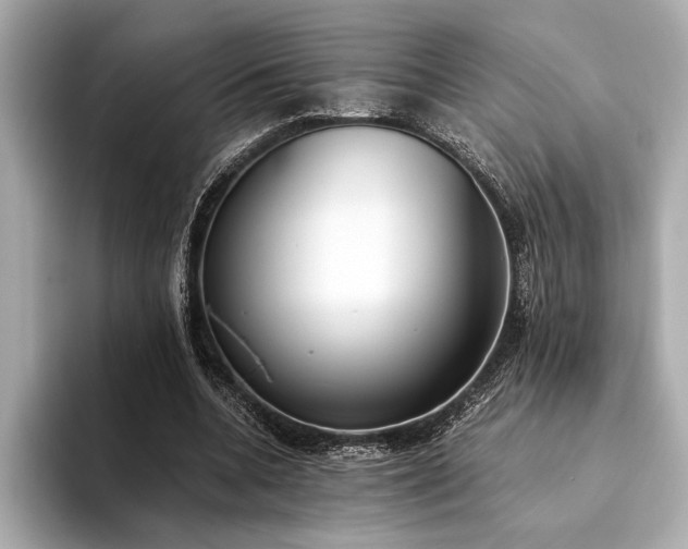 X0000094320536200711021353