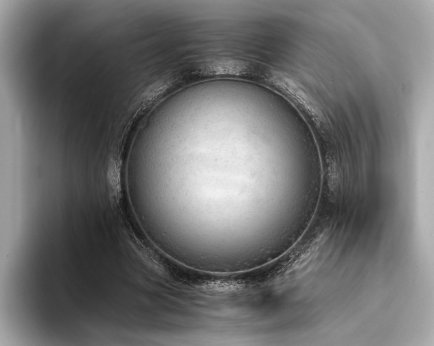 X0000094320537200711021353