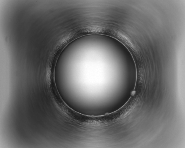 X0000094320538200711021353