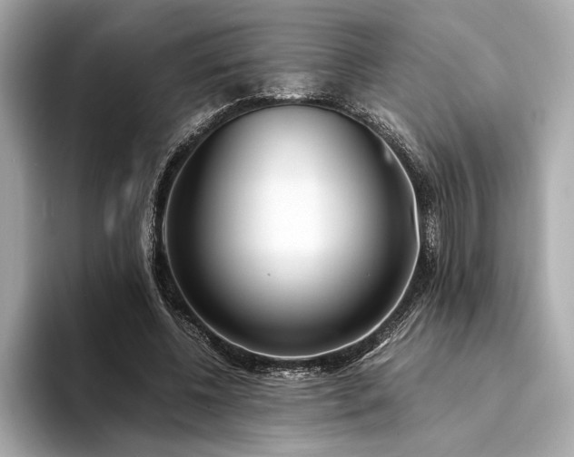 X0000094320540200711021353