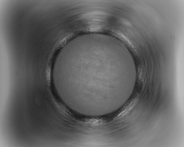X0000094320542200711021353