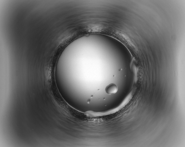 X0000094320543200711021353