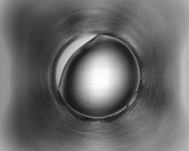 X0000094320544200711021353