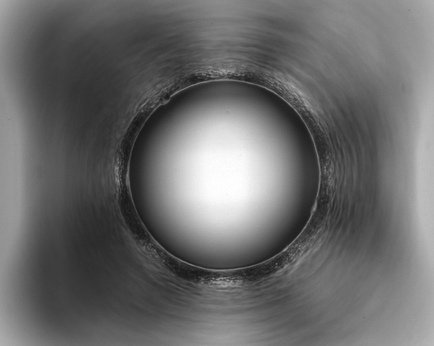 X0000094320546200711021353