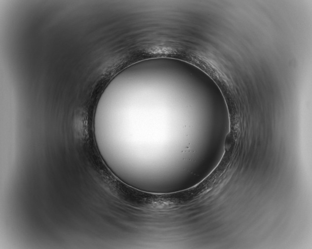 X0000094320547200711021353