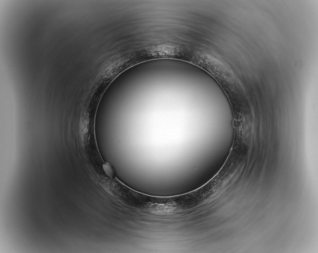 X0000094320548200711021353