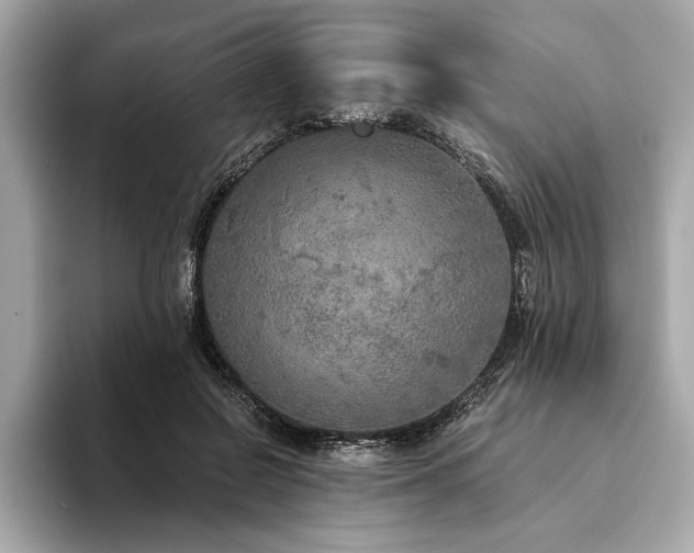 X0000094320550200711021353