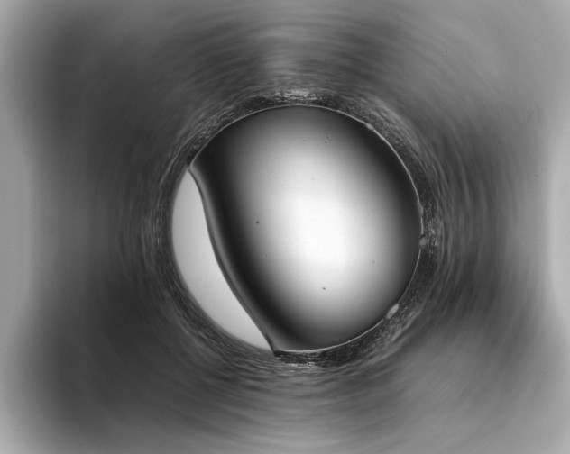X0000094320552200711021353