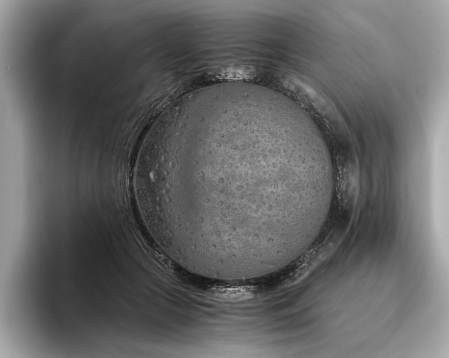 X0000094320553200711021353