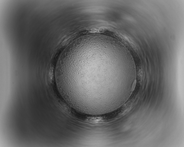 X0000094320554200711021353