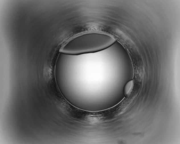 X0000094320556200711021353