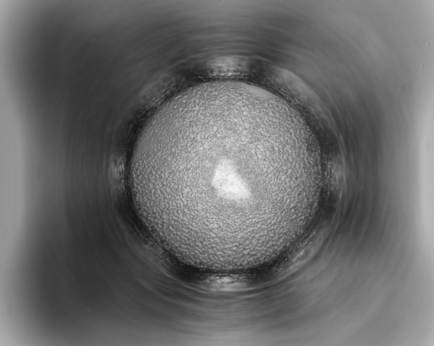 X0000094320557200711021353