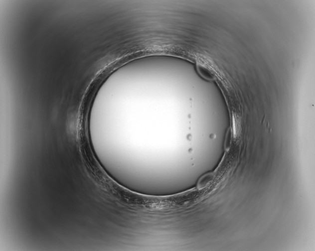 X0000094320579200711021353