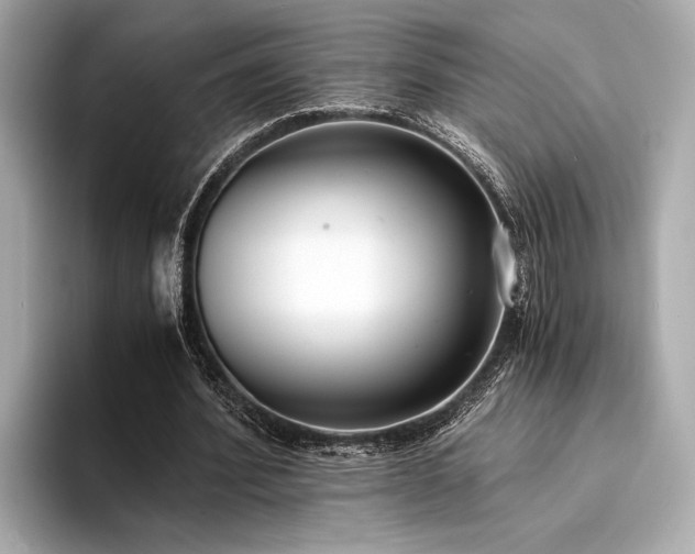 X0000094320580200711021353