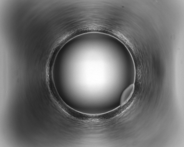 X0000094320581200711021353