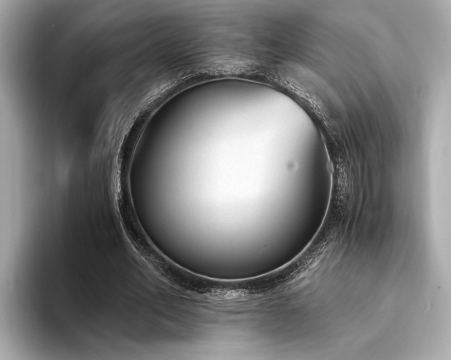 X0000094320582200711021353