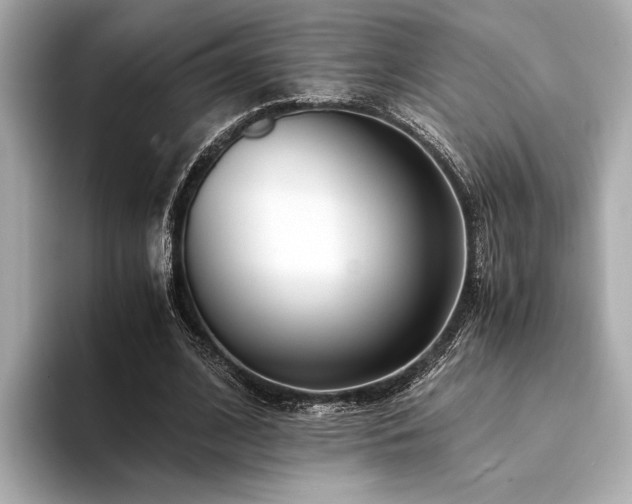 X0000094320584200711021353