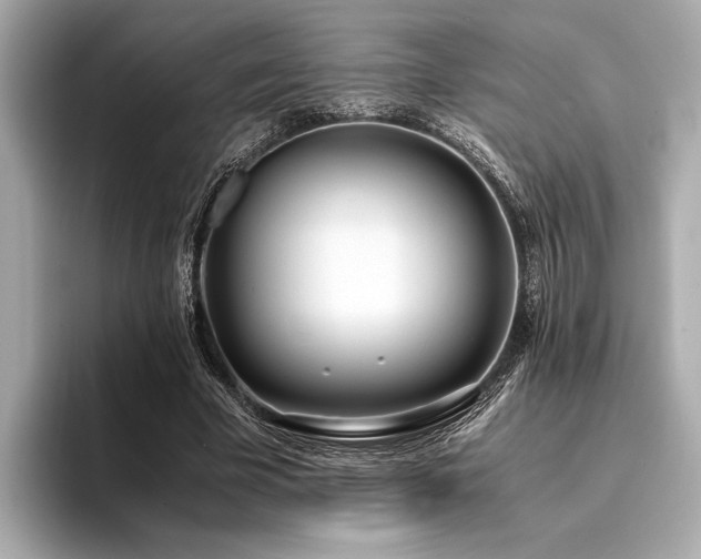 X0000094320585200711021353
