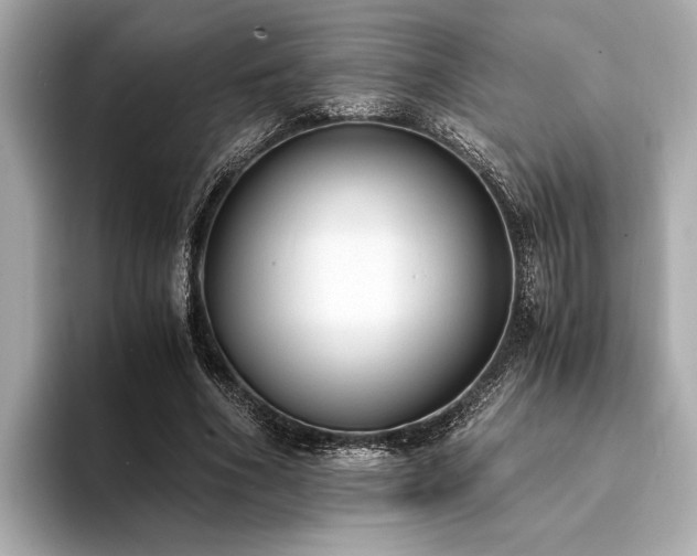 X0000094320586200711021353