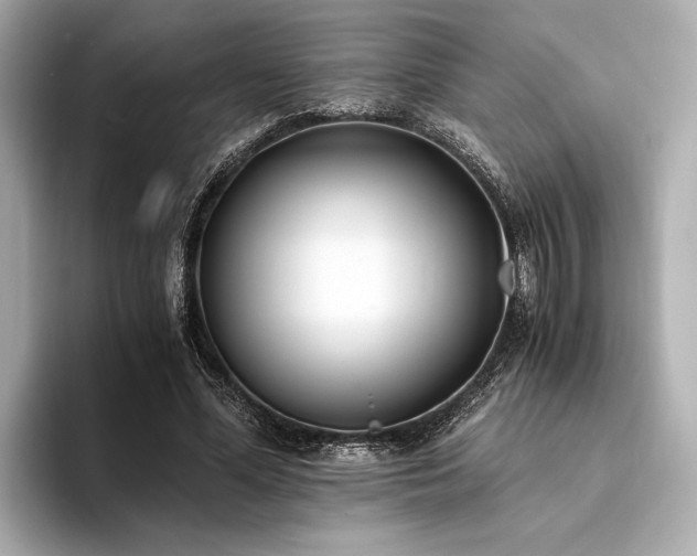 X0000094320588200711021353