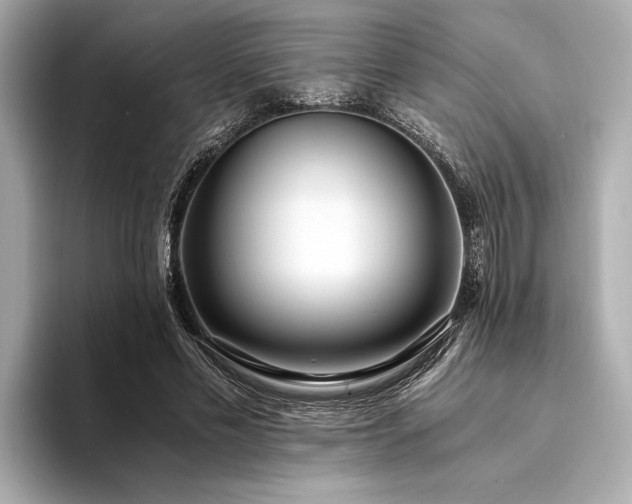 X0000094320589200711021353
